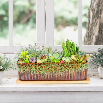 Succulent Pots - 12'' Large Succulent Planters with Drainage Tray Set of 2, Window Sill Planter, Long Rectangle Ceramic Pots for Indoor Cactus Plants Shallow Bonsai Window Box for Home Garden Decor