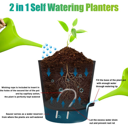 Self Watering Pots for Indoor - 8/7/6.5/6/5.5/5 Inch Self Watering Planters for Indoor Plants with Deep Saucer Reservoir & Drainage Holes Plastic Flower Pots for House Plants or Flower (Black)
