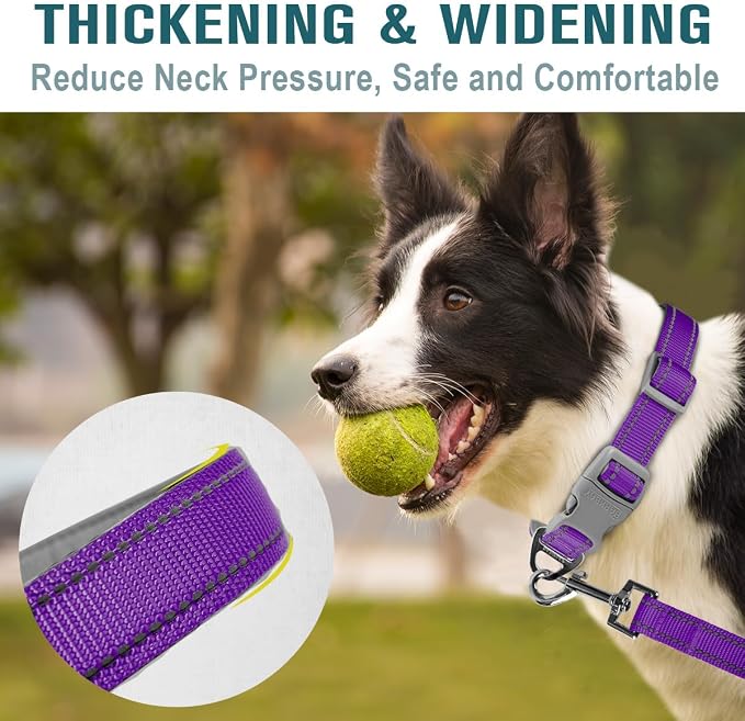 Dog Collar for Medium Small Large Dogs Reflective with Leash,Collar and Leash for Dogs,Soft Neoprene Padded 2 Pack(Purple,XS)