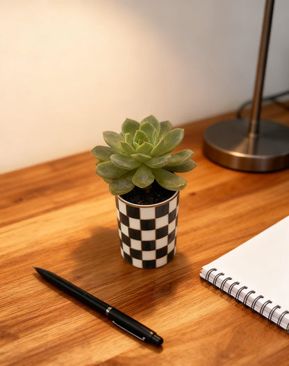 Porlien Ceramic Checker Plant Pots Indoor with Drainage, Set of 2
