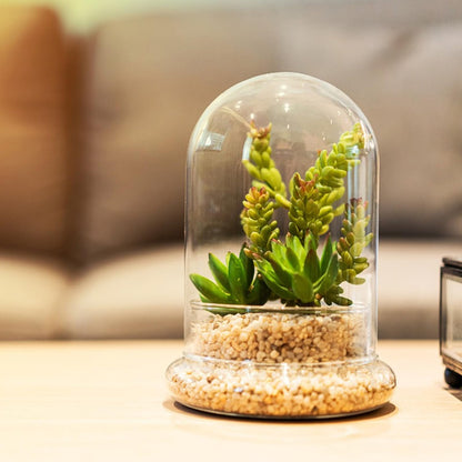 2pcs Cloche Glass Dome with Air Hole and Base, Clear Glass Terrarium Plants Bell Jar Humidity Dome for Smallplants, Home Indoor Tabletop Decoration (No Plants)