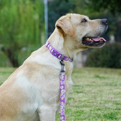 Dog Collar Leash Set, Floral Pattern, with Safety Reflective Strips, 5 ft Matching Leash, Neoprene Padded Handle, Adjustable 4 Sizes for Small Medium Large Dogs.(XS, Purple Daisy)