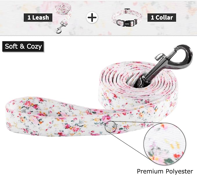 Ihoming Puppy Collar and Leash Set for Daily Outdoor Walking Running Training, Floral Sky Design for Extra Small Boys Girls Dogs Cats Pets, XS-Up to 10LBS