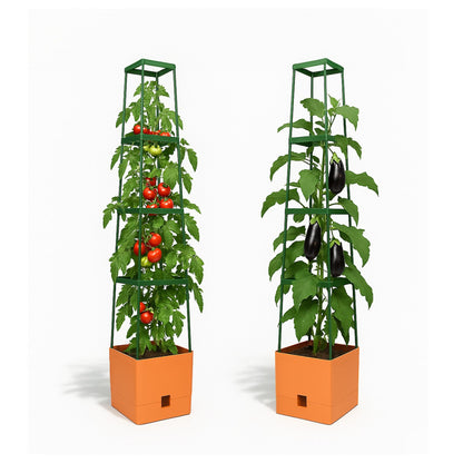 BioGreen 2 Pack Garden Tomato Planter MAXITOM, with Plant Support Trellis 59 inch and Self Watering, 4,2 Gal Planter Box for Climbing Vegetables Plants, Terracotta