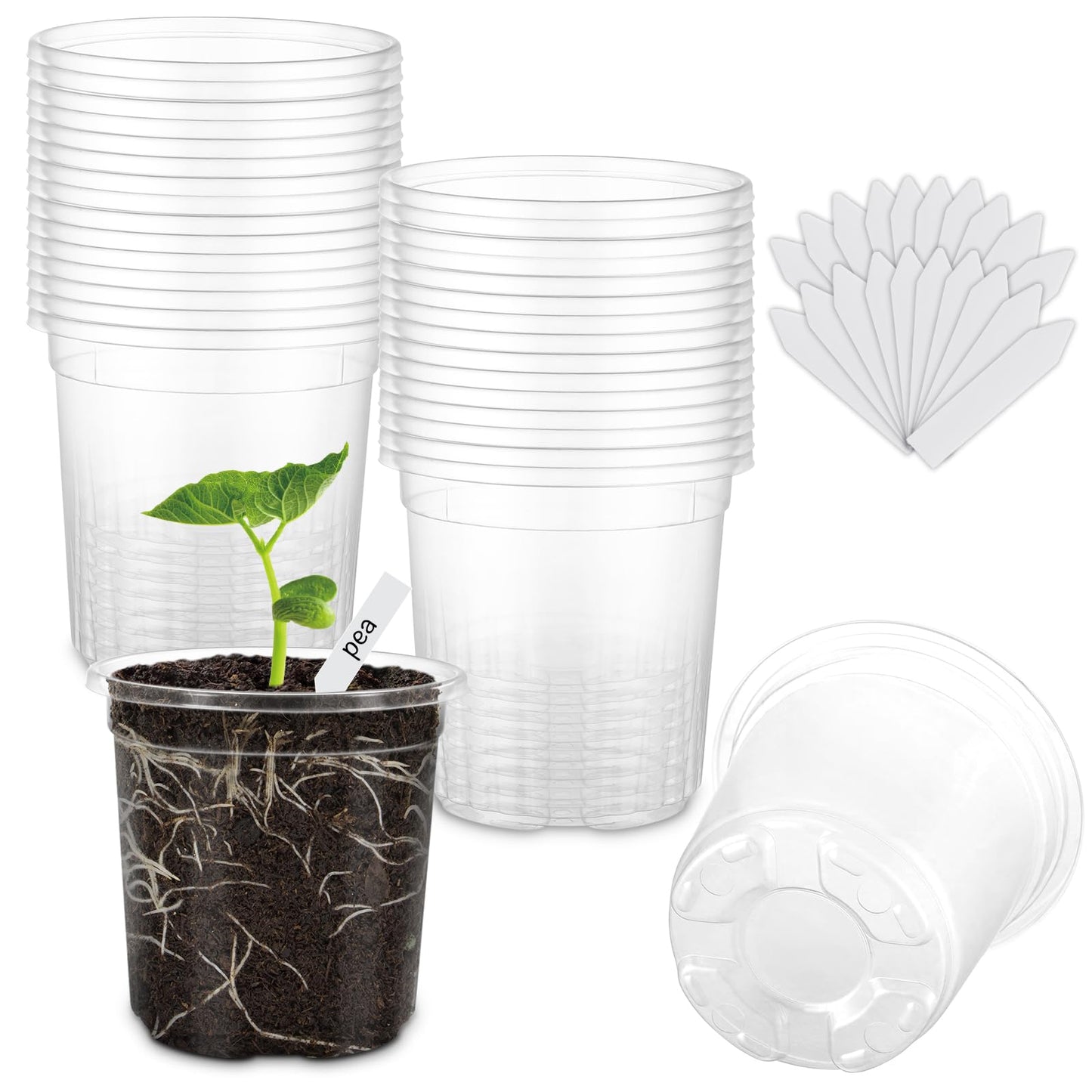 WandaQueen 30 Packs 4 Inch Reinforced Clear Nursery Pots for Plants with Drainage Holes, High Transparency Plastic Seedling Plant Pot with Drainage Holes Have 20 Labels