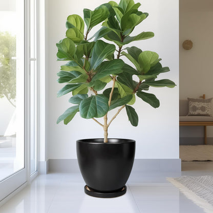 EPFamily Ceramic Planter - 10 Inch Plant Pot with Drainage Hole and Tray, Round Flower Pots, Planters for Indoor Plants, Modern Room Garden Patio Bathroom Living Room Porch Home Decor, Black