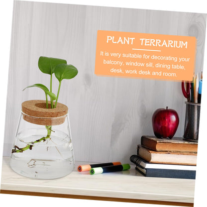 JUMPLAWN 2pcs Hydroponics Glass Planter Stylish Desktop Terrarium for Chic Water-Planting Vase for Indoor Gardening for Plant