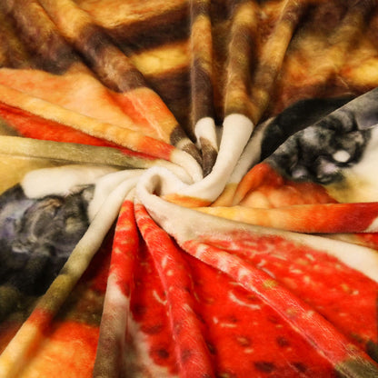 Bnuitland Waffle Funny Blanket, 300 GSM Double Sided Giant Realistic Food Blanket with a Storage Bag, Novelty Gift for Adults and Kids, Super Soft Flannel