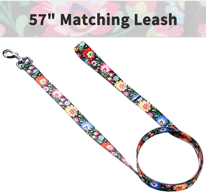 Ihoming Dog Collar and Leash Set for Daily Outdoor Walking Running Training, Black Colorful Flowers Design for Medium Boys Girls Dogs Cats Pets, M-Up to 45LBS