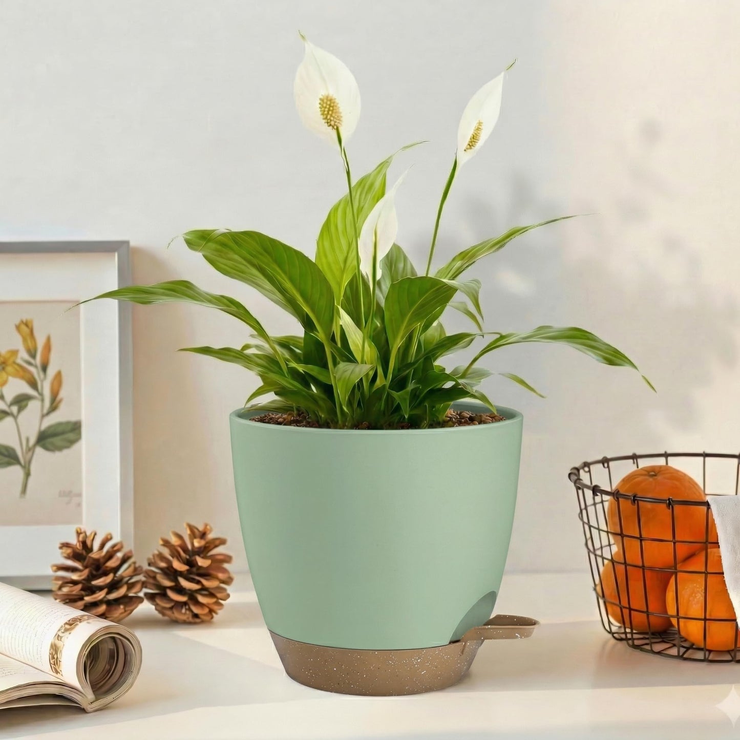 Hylitong Plant Pots 8/7.5/7/6.5/6 Inch Self Watering Pots,5 Pack Planters with Drainage Holes and Saucers,Plastic Flower Pots,Nursery Planters for Indoor Outdoor Plants (Green)