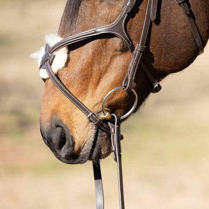 Jeffers Uniquely English Hickstead Figure-8 Leather Bridle for Horses with Web Reins, Cob - Padded Crown, Buckle Bit Ends, Sheepskin Noseband, Adjustable Throatlatch, Dressage, Jumping, Training