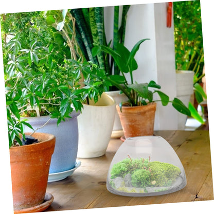 HANABASS Simple Plant Terrarium Glass Moss Micro Landscape Bottle for Home Decor