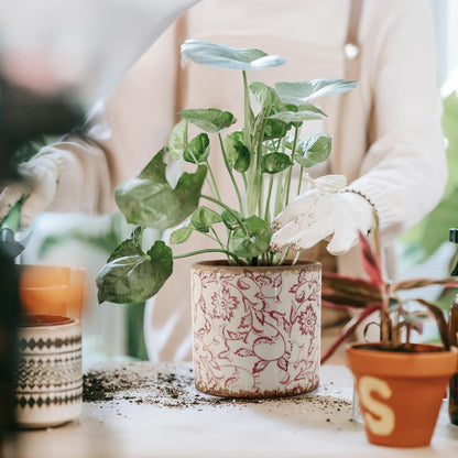 Meltset M Ceramic Planter for Indoor Plant,5 inch Plant Pot with Drainage Small Ceramic Pots Decorative Unique Planter Red for Orchid Succulent Outdoor, Crackle Glaze Finish, Gardening Gift