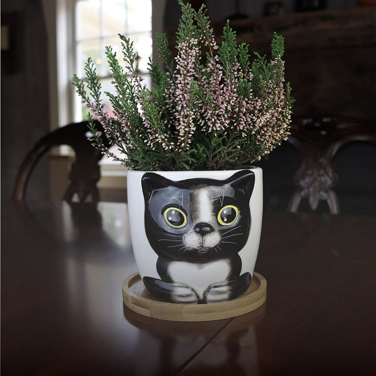Window Garden Animal - Large Kitty Pot (Barney) Purrfect for Indoor Live House Plants, Succulents, Flowers and Herbs, Super for Cat Lovers, Cat
