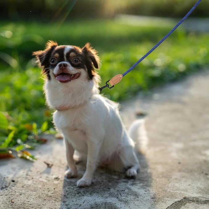Mile High Life Small Dog Leash, Thin Rope Leash with Genuine Leather Connection and Heavy Duty Metal Clasp, Great for Small Medium Dogs(Blue,72 Inch-1/3)