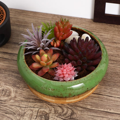 NOLITOY 7 Inch Ceramic Succulent Planter Bowl with Drainage Hole and Tray, Green Round Shallow Flower Pot for Indoor Cactus Arrangements and Office Desk Decor