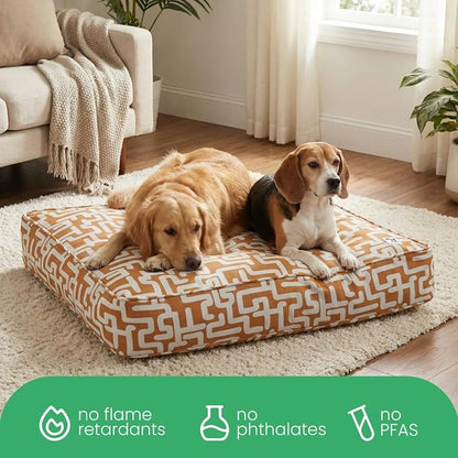 Molly Mutt Hypnotize Dog Bed Duvet Cover, GOTS-Certified 100% Organic Cotton Canvas Cover for Dog, Puppy, or Cat Bed, Durable, Washable, and Free of Harmful Chemicals, Medium/Large, 27"x36"x5"