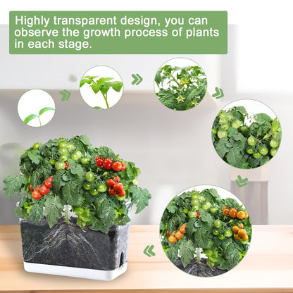 Oliz Self Watering Planters - 4 Pack Rectangular Clear Plant Pots with Drainage Holes for Indoor Plants