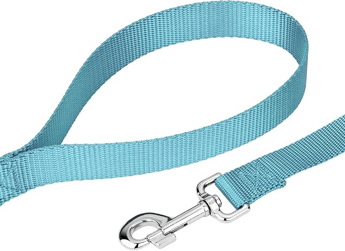 Country Brook Petz - Everyday Nylon Dog Collar and Leash - 10+ Cool Colors (3/8 Inch, Extra Small, Ocean Blue)