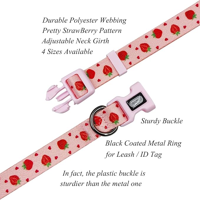 Dog Collar Leash Set, Fruit Pattern, Polyester Material, Adjustable Collar and 5ft Matching Leash, for Small Dogs.(S, Strawberry)