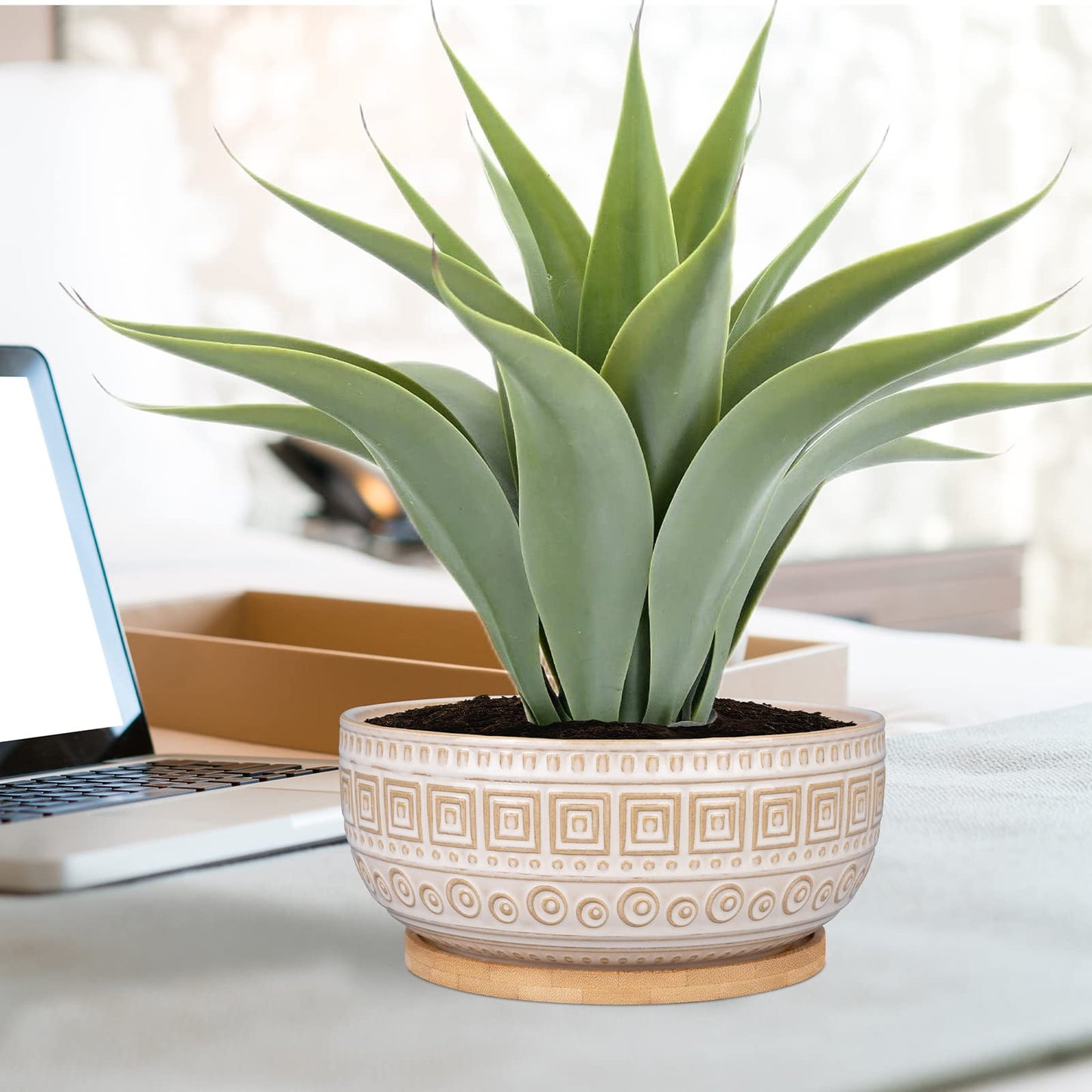 G EPGardening 8 Inch Ceramic Succulent Planter Pots Round Shallow Bonsai Planter Pot for Indoor Plants with Drainage and Plant Saucer