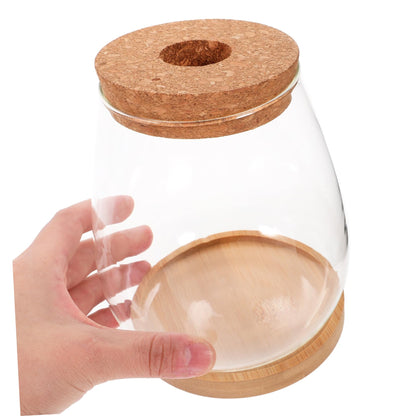 BESPORTBLE 1 Set Plant Terrarium Hydroponic Glass Vase Holder with Base Container for Plants Transparent Flower Arrangement Decor for Home Office and Garden