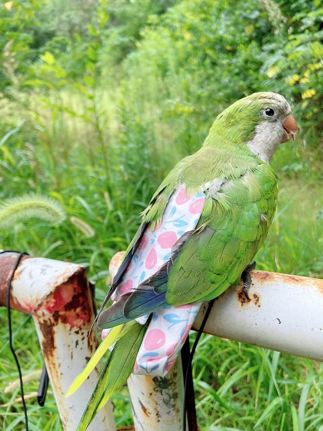 Bird Diaper Harness Flight Suit Clothes, Parrot Flight Suit with Leash, Bird Flying Clothes with Rope and Handle for Outdoor Activities Training (Pink with Leash,Small)