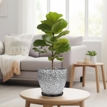 EPFamily Ceraimc Plant Pot - 8 Inch Planter with Drainage and Saucer, Modern Round Planter, Flower Pot for Indoor Outdoor Plants, Home Room Garden Apartment Decor, Gifts for Plant Lovers, White-Black