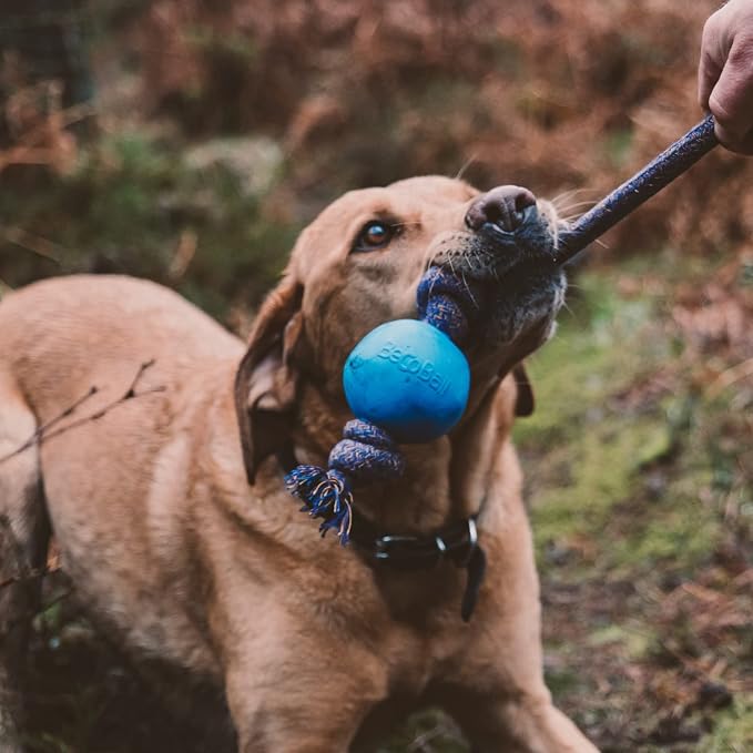 Beco Ball with Rope Small Dog Toy (Green), 5060189751334