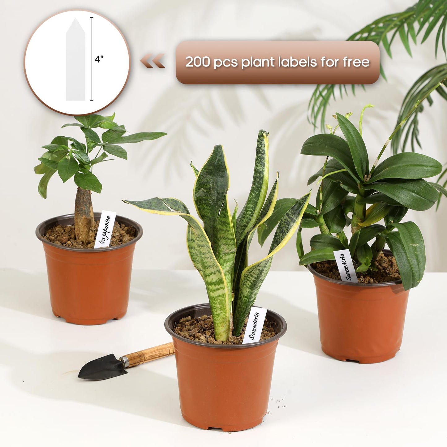 Hemikaki 200 Pack 6 Inch Plastic Nursery Pots for Plants, Seedling Pots Succulent Pots Flower Pots with Drainage Holes, Come with 200pcs Plant Labels