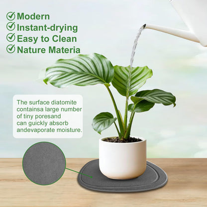 Plant Saucers for Indoors, 2 Pack 7 12 Inch Instantly Dry Diatomite Plant Drip Water Catcher Trays for Pots, Diatomaceous Earth Planter Drainage Saucers Plates to Catch Water for Flower and Plant Pot
