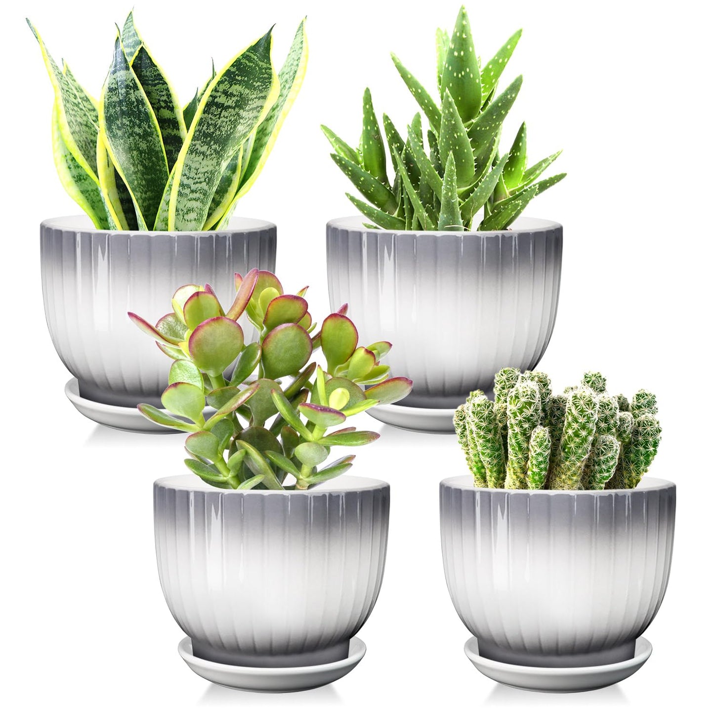YUFDA Ceramic Plant Pots,5.5 Inch,Set of 4,Planters with Drainage Hole and Saucer,Flower pots for Indoor Plants,Modern Design(Gray+White)