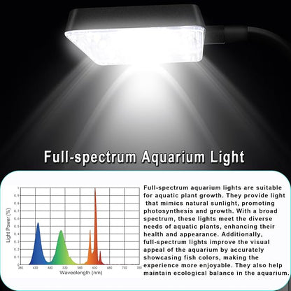 3 Gallon 12.6” L Fish Nano Glass Aquarium, with Separator Plate for Betta, Multi-Functional Square Fish Tank with Filter, LED Light, Black 4mm Glass
