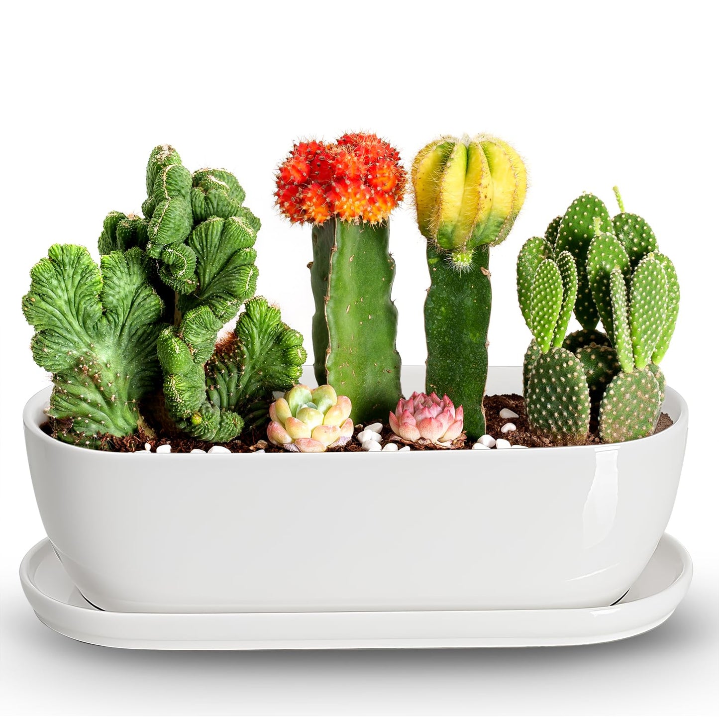 E-liu Oval Ceramic Planter Pot with Drainage Hole Saucers 14 Inch Succulents Planter Home Decor for Indoor Outdoor Plants Herb Cactus with 3 Mesh Pads, Plants Not Included, Black