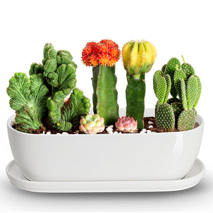 E-liu Oval Ceramic Planter Pot with Drainage Hole Saucers 14 Inch Succulents Planter Home Decor for Indoor Outdoor Plants Herb Cactus with 3 Mesh Pads, Plants Not Included, Black