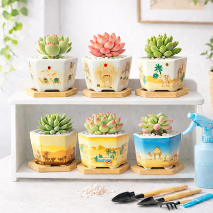 Succulent Pots, 6 Pack Floral Plant Pots with Drainage Tray, 3.7" Small Flower Pots for Indoor Plants, Ceramic Succulent Planters for Cactus, Home Office Decor