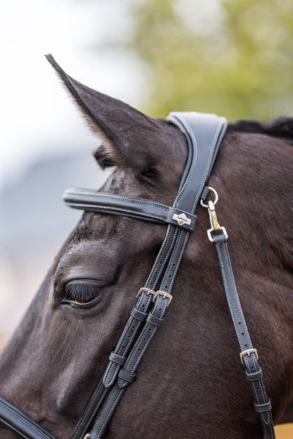 LeMieux Kudos Work Bridle - Black - Full