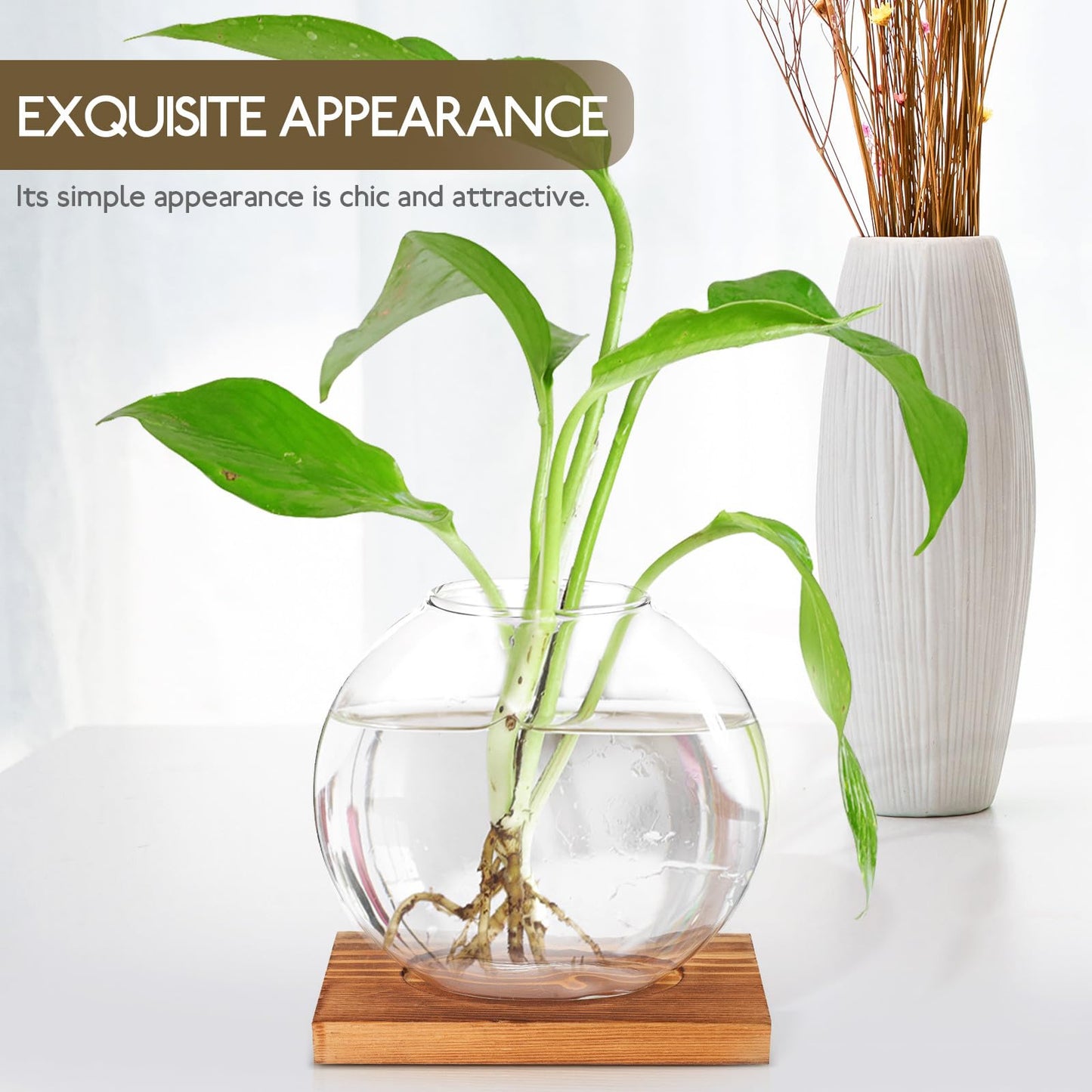 ABOOFAN Glass Hydroponic Flower Planter with Wood Base, Desktop Glass Vase for Home and Office Decor, Hydroponic Plant Terrarium Decoration