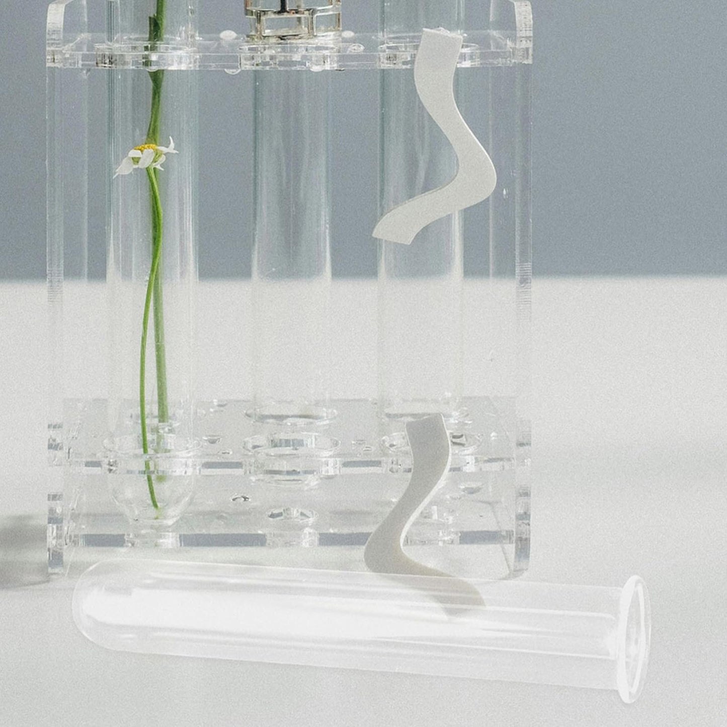 WESIEVYA 5pcs Glass Hydroponic Test Tube Vases 2.5x3x15cm Glass Propagation Tubes for Small Terrarium Plants Office Home Flower Display