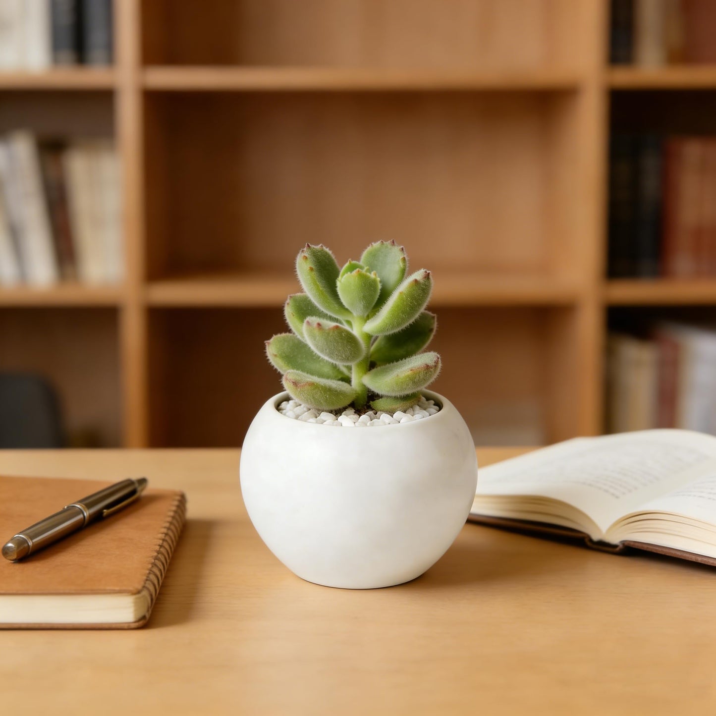 NEONWE White Spherical Ceramic Planter Succulent Small Plant Pots Indoor Modern Round Decorative Indoor-Outdoor Garden Plant Pots with Drainage Holes - Plants Not Included 3.94 x 3.94 x 3.15 Inch