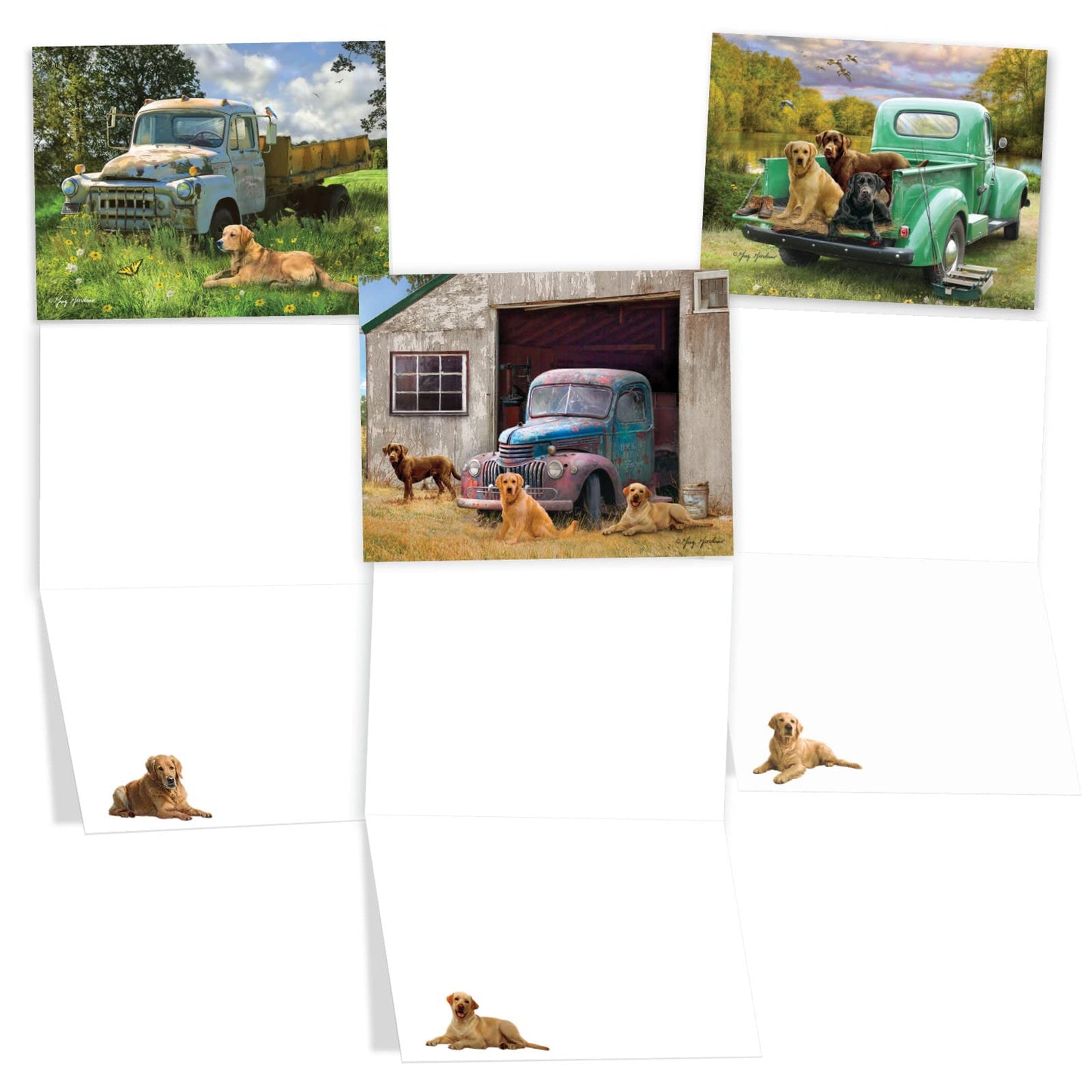 The Best Card Company 20 Assorted Blank Americana Dog and Pickup Cars Notes Bulk Box Set 4 x 5.12 Inch with Envelopes (10 Designs, 2 Each) Labrador, Country, Farm Trucks and Labs AM10203OCB-B2x10