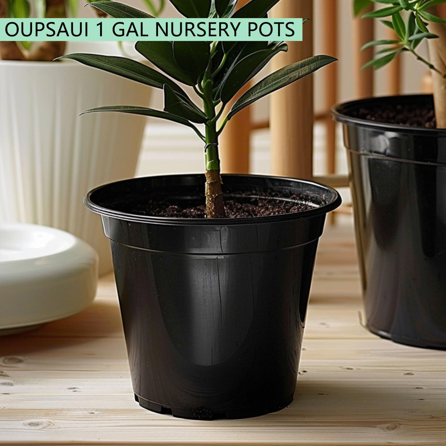 OUPSAUI 1 Gallon Pots for Plants,Flexible Gallon Plastic Nursery Pots with Drainage Holes, Plastic Pots for Outdoor Plants (1Gal-20pcs)