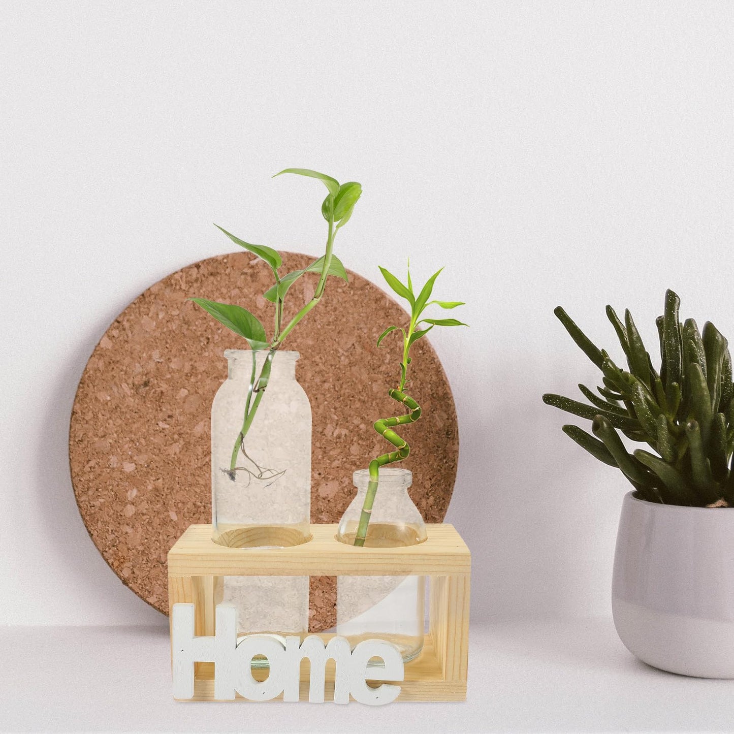 Balacoo Glass Hydroponic Vase Set with Wooden Stand, 2pcs Indoor Terrarium Planter for Living Plants, Decorative Tabletop Home Décor for Hydroponics and Plant Propagation
