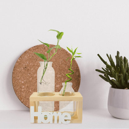 Ciieeo Glass Planter with Wooden Rack, Hydroponic Glass Vase for Plant Propagation, Decorative Flower Terrarium for Home and Office Desktop, 2pcs
