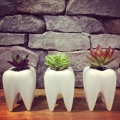 Hedume 6 Pack Tooth Shaped Planter Pots, Small Cute Flower Plant Containers, Mini Ceramic Succulent Planter Pots, Creative Pen Pencil Holder for Desk Decor