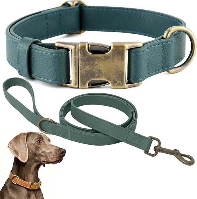 Silicone Dog Collar and Leash Set, Waterproof & Odor-Proof Puppy Collar for Small Dogs, Soft Flexible Leather-Look Dog Collars, Durable Thick Adjustable Pet Collar (Green, Large (16-24.5" Neck))