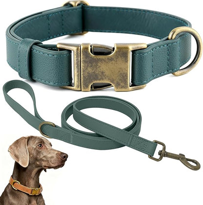 Silicone Dog Collar and Leash Set, Waterproof & Odor-Proof Puppy Collar for Small Dogs, Soft Flexible Leather-Look Dog Collars, Durable Thick Adjustable Pet Collar (Green, Large (16-24.5" Neck))
