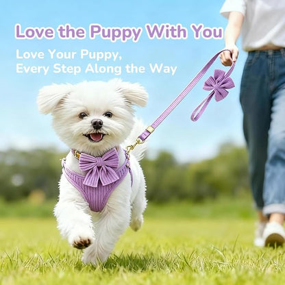 Small Dog Collar Harness and Leash Set with Bowtie, Adjustable Dog Harness Collar and Leash Set with Secure Metal Buckle, Breathable Cotton Adjustable Pet Puppy Harness, Easy Walk Harness, M(16-21")