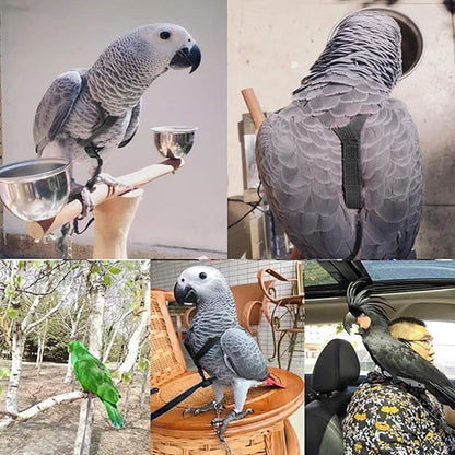 Parrot Harness Leash, Adjustable Buckle Elastic Rope Easy to Wear Convenient String for Cockatiel Lovebird Outdoor Playing Parties (XS)