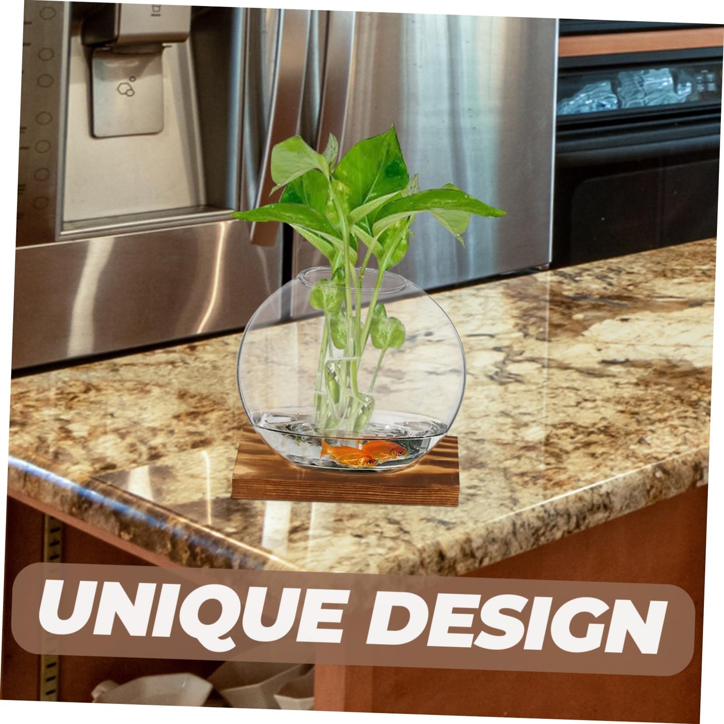 Mipcase 2sets Wooden Vase Glass Terrarium Indoor Plant Wall Garden Propagation Terrariums